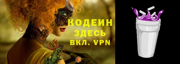 молекула духа Кодинск