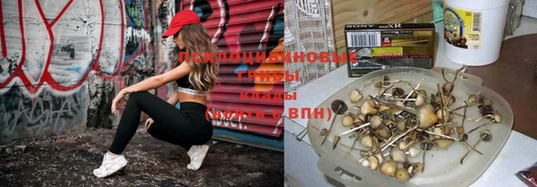 a pvp Кинешма