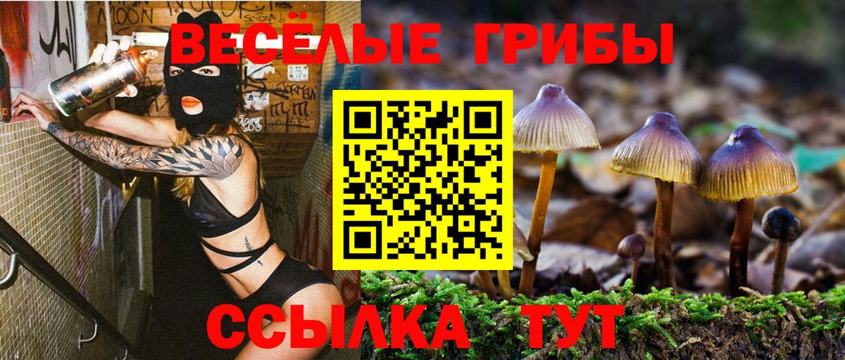 Галлюциногенные грибы мухоморы Мариинск