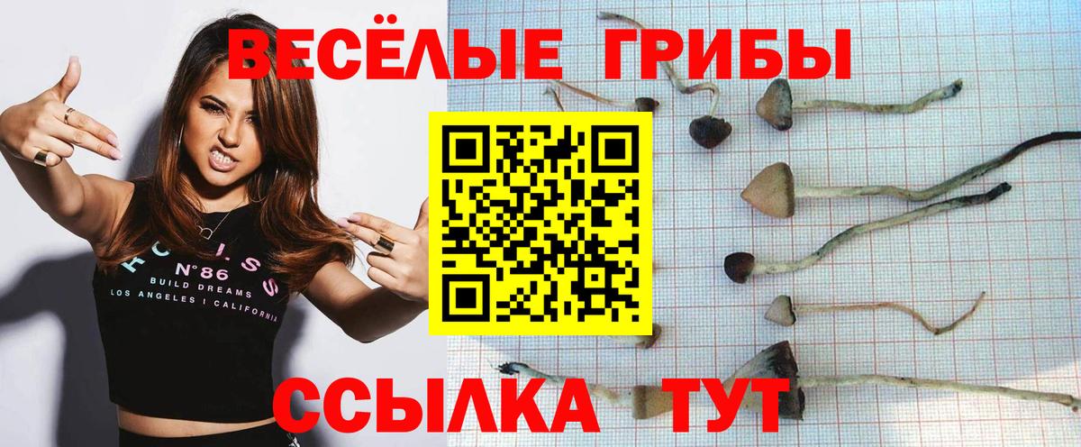 Галлюциногенные грибы Magic Shrooms  Вход с VPN  Мариинск  Галлюциногенные грибы прущие грибы 